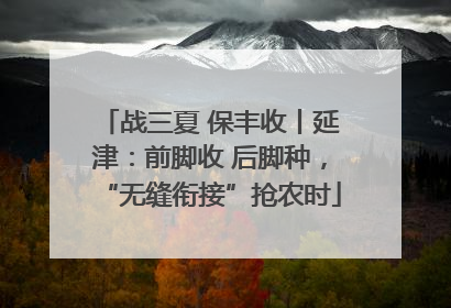 战三夏 保丰收丨延津：前脚收 后脚种，“无缝衔接”抢农时