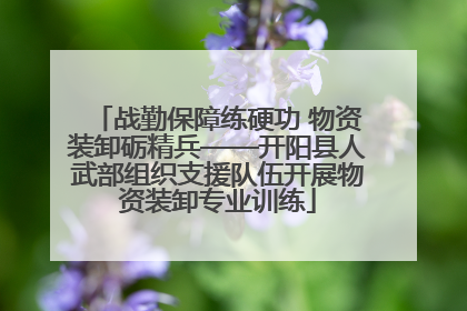 战勤保障练硬功 物资装卸砺精兵——开阳县人武部组织支援队伍开展物资装卸专业训练