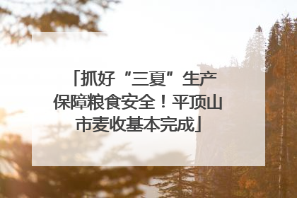 抓好“三夏”生产 保障粮食安全！平顶山市麦收基本完成