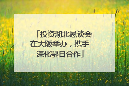 投资湖北恳谈会在大阪举办，携手深化鄂日合作