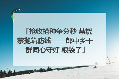 抢收抢种争分秒 禁烧禁抛筑防线——郎中乡干群同心守好 粮袋子