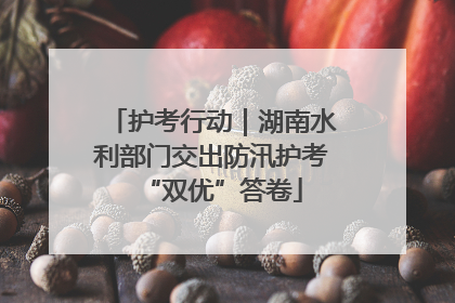 护考行动｜湖南水利部门交出防汛护考“双优”答卷