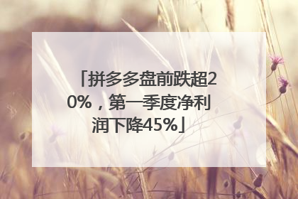 拼多多盘前跌超20%，第一季度净利润下降45%