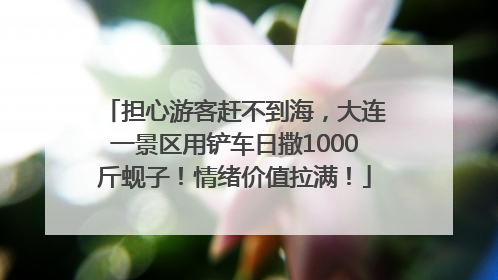 担心游客赶不到海，大连一景区用铲车日撒1000斤蚬子！情绪价值拉满！