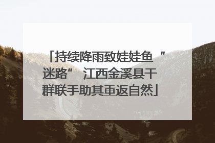 持续降雨致娃娃鱼“迷路” 江西金溪县干群联手助其重返自然