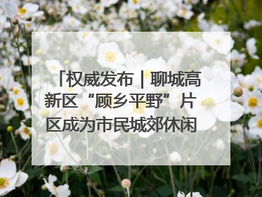 权威发布｜聊城高新区“顾乡平野”片区成为市民城郊休闲全新目的地
