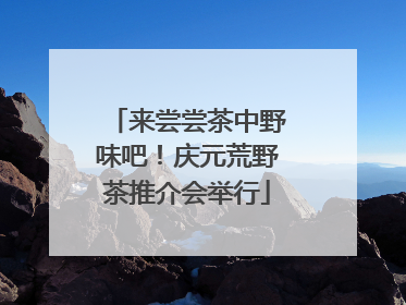 来尝尝茶中野味吧！庆元荒野茶推介会举行