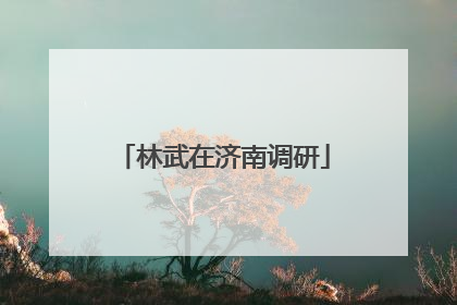 林武在济南调研