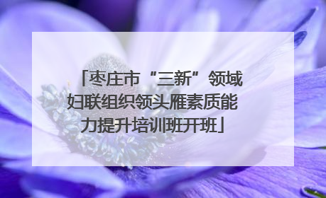 枣庄市“三新”领域妇联组织领头雁素质能力提升培训班开班