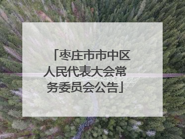 枣庄市市中区人民代表大会常务委员会公告