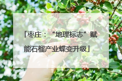 枣庄：“地理标志”赋能石榴产业蝶变升级