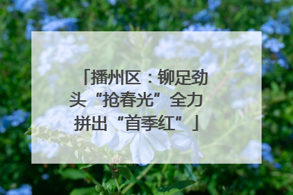 播州区：铆足劲头“抢春光”全力拼出“首季红”