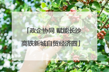 政企协同 赋能长沙高铁新城自贸经济圈