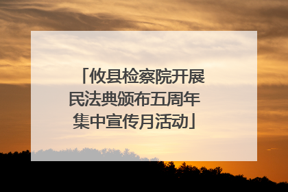 攸县检察院开展民法典颁布五周年集中宣传月活动