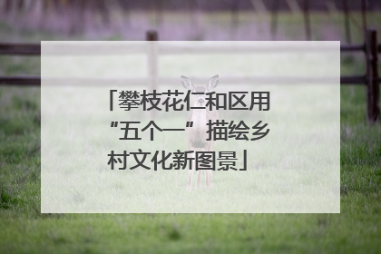攀枝花仁和区用“五个一”描绘乡村文化新图景