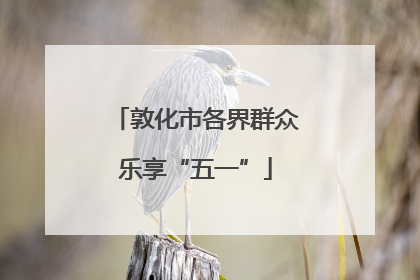 敦化市各界群众乐享“五一”
