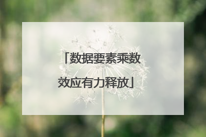 数据要素乘数效应有力释放