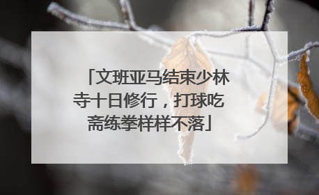文班亚马结束少林寺十日修行，打球吃斋练拳样样不落