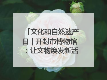 文化和自然遗产日｜开封市博物馆：让文物焕发新活力绽放新光彩