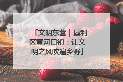 文明东营｜垦利区黄河口镇：让文明之风吹遍乡野