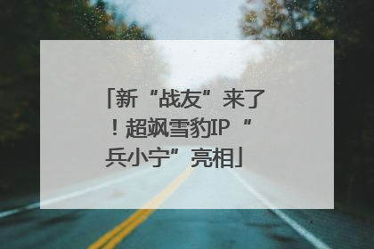 新“战友”来了！超飒雪豹IP“兵小宁”亮相