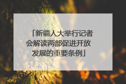 新疆人大举行记者会解读两部促进开放发展的重要条例
