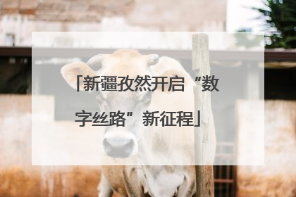 新疆孜然开启“数字丝路”新征程