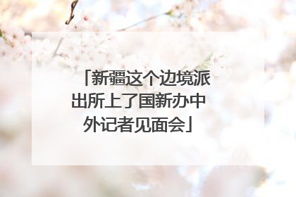 新疆这个边境派出所上了国新办中外记者见面会