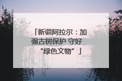 新疆阿拉尔：加强古树保护 守好“绿色文物”