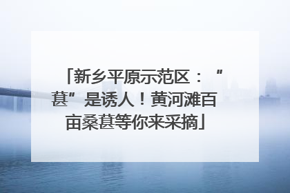 新乡平原示范区：“葚”是诱人！黄河滩百亩桑葚等你来采摘