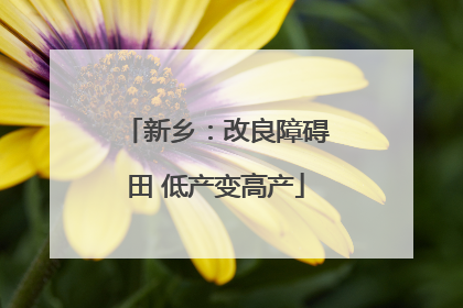 新乡：改良障碍田 低产变高产