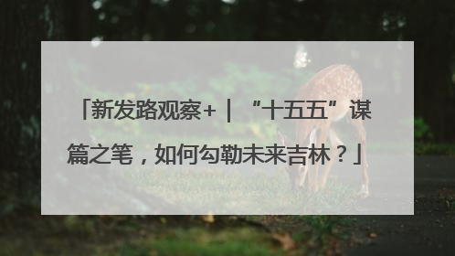 新发路观察+｜“十五五”谋篇之笔，如何勾勒未来吉林？
