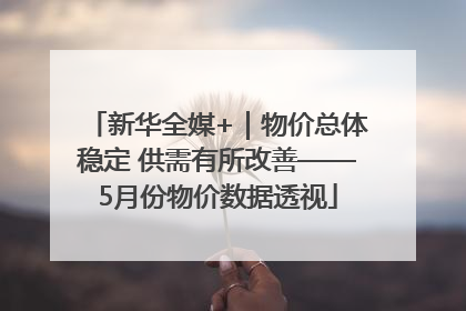 新华全媒+｜物价总体稳定 供需有所改善——5月份物价数据透视