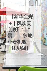 新华全媒+｜风吹麦浪好“丰”景——多地小麦机收一线见闻