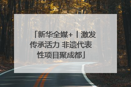 新华全媒+丨激发传承活力 非遗代表性项目聚成都