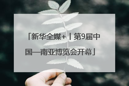 新华全媒+丨第9届中国—南亚博览会开幕