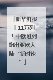 新华鲜报丨11万列！中欧班列跑出亚欧大陆“新时速”