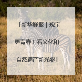 新华鲜报｜瑰宝更青春！看文化和自然遗产新光彩
