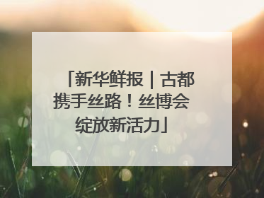 新华鲜报｜古都携手丝路！丝博会绽放新活力