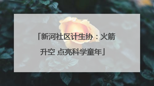新河社区计生协：火箭升空 点亮科学童年