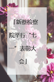 新蔡检察院举行“七一”表彰大会