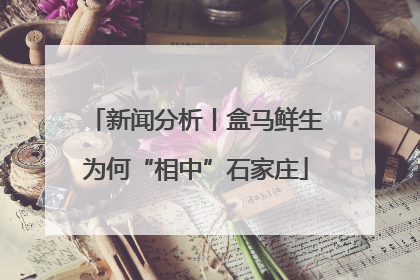 新闻分析丨盒马鲜生为何“相中”石家庄
