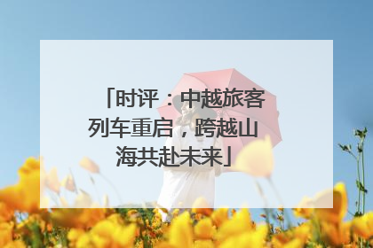 时评：中越旅客列车重启，跨越山海共赴未来