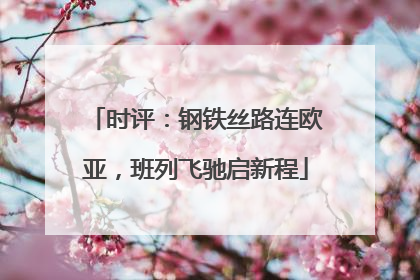 时评：钢铁丝路连欧亚，班列飞驰启新程