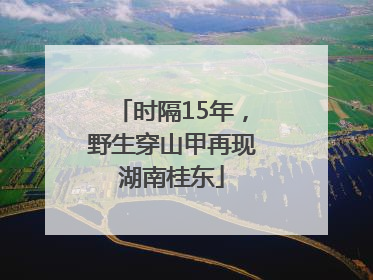 时隔15年，野生穿山甲再现湖南桂东