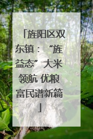 旌阳区双东镇：“旌益态”大米领航 优粮富民谱新篇