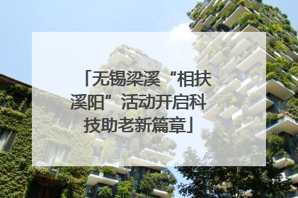 无锡梁溪“相扶溪阳”活动开启科技助老新篇章