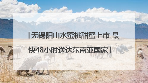 无锡阳山水蜜桃甜蜜上市 最快48小时送达东南亚国家