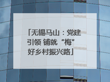 无锡马山：党建引领 铺就“梅”好乡村振兴路