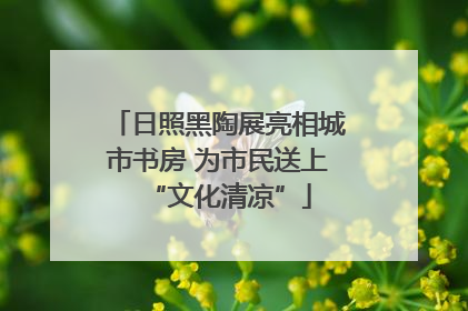 日照黑陶展亮相城市书房 为市民送上“文化清凉”